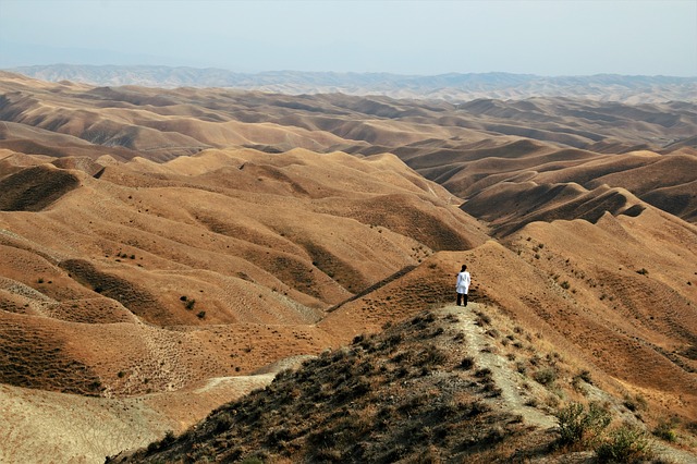 Alle wollen in den Iran