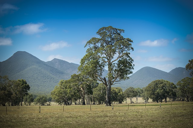 Grampians