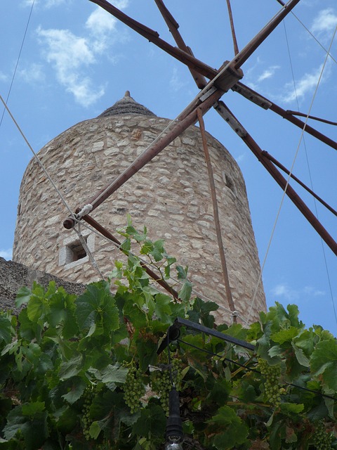 Wein
