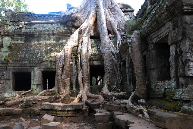 Angkor Wat