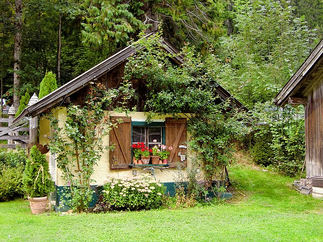 Lodge