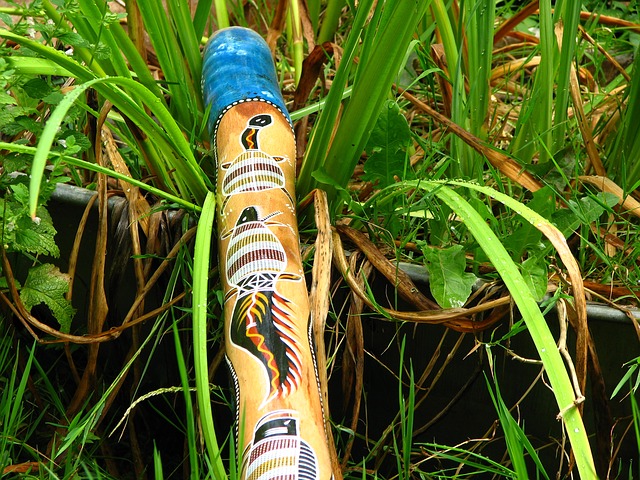 didgeridoo