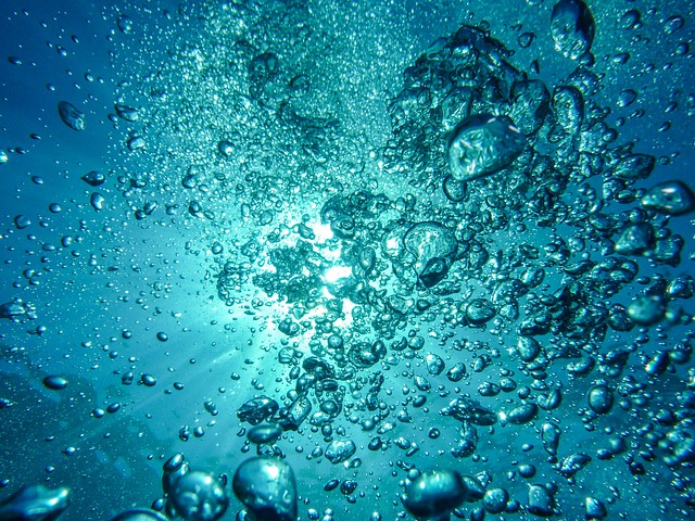 Wasser