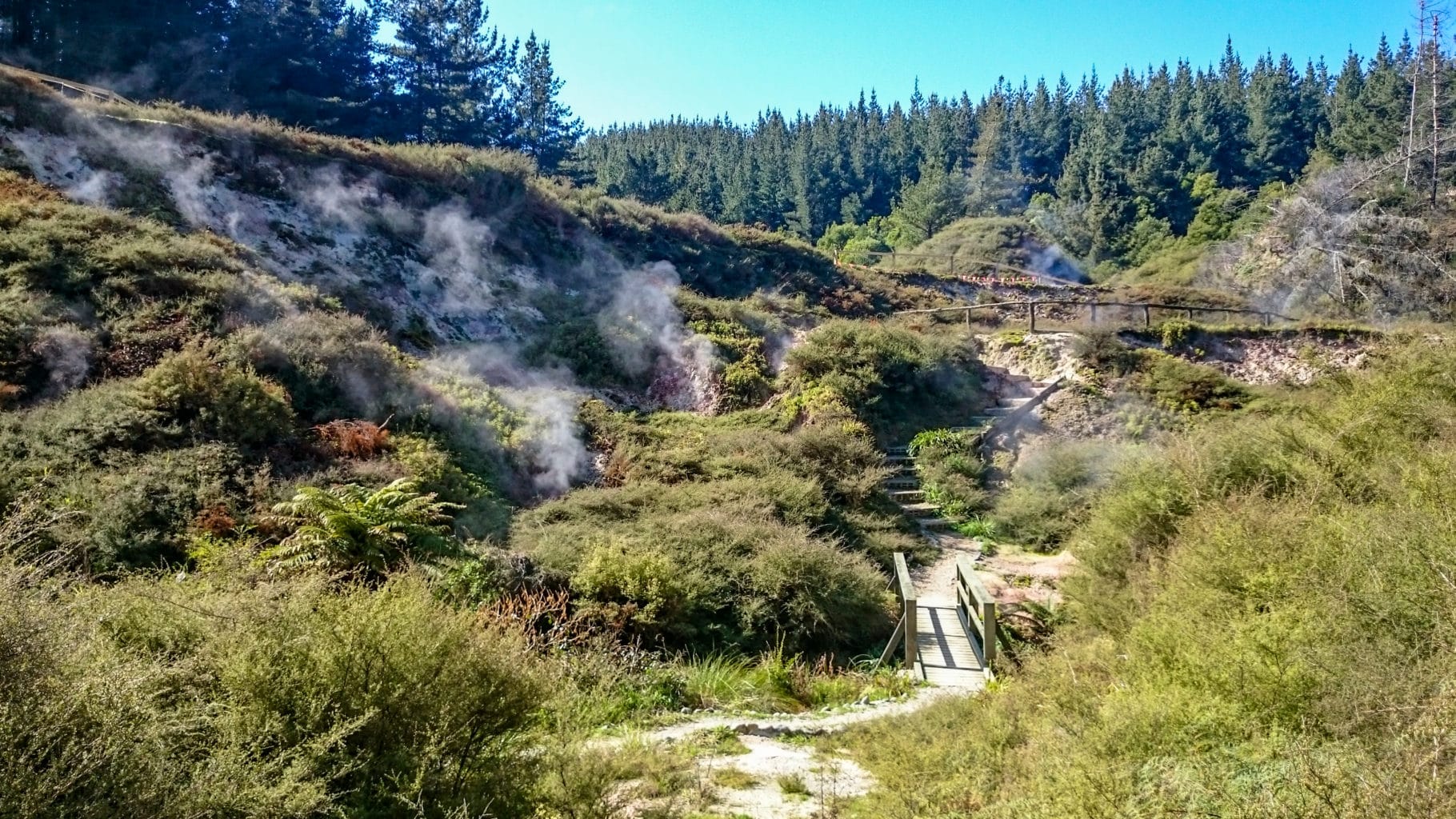 Wairakei Natural Thermal Valley, New Zealand