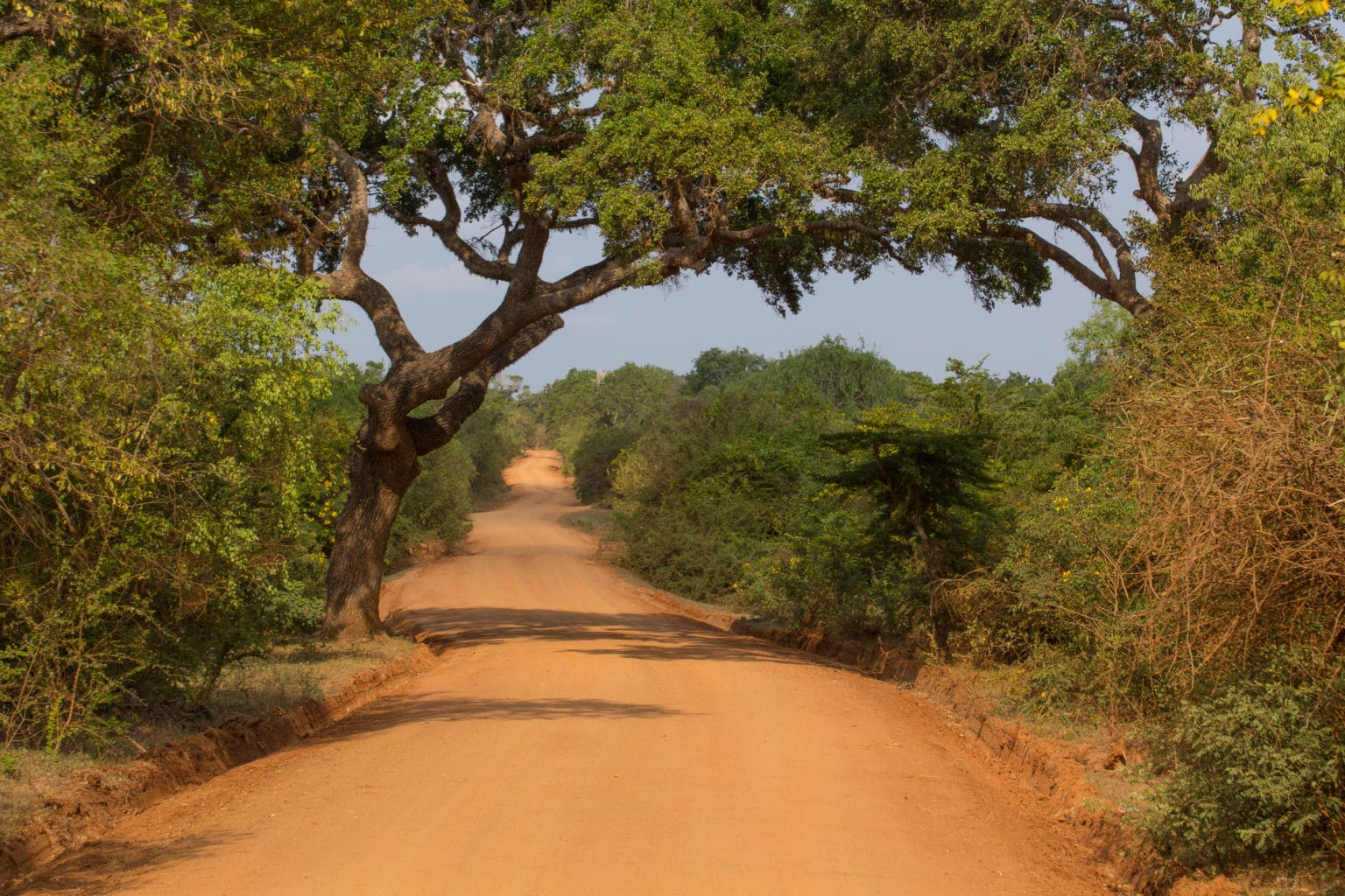 Yala Nationalpark
