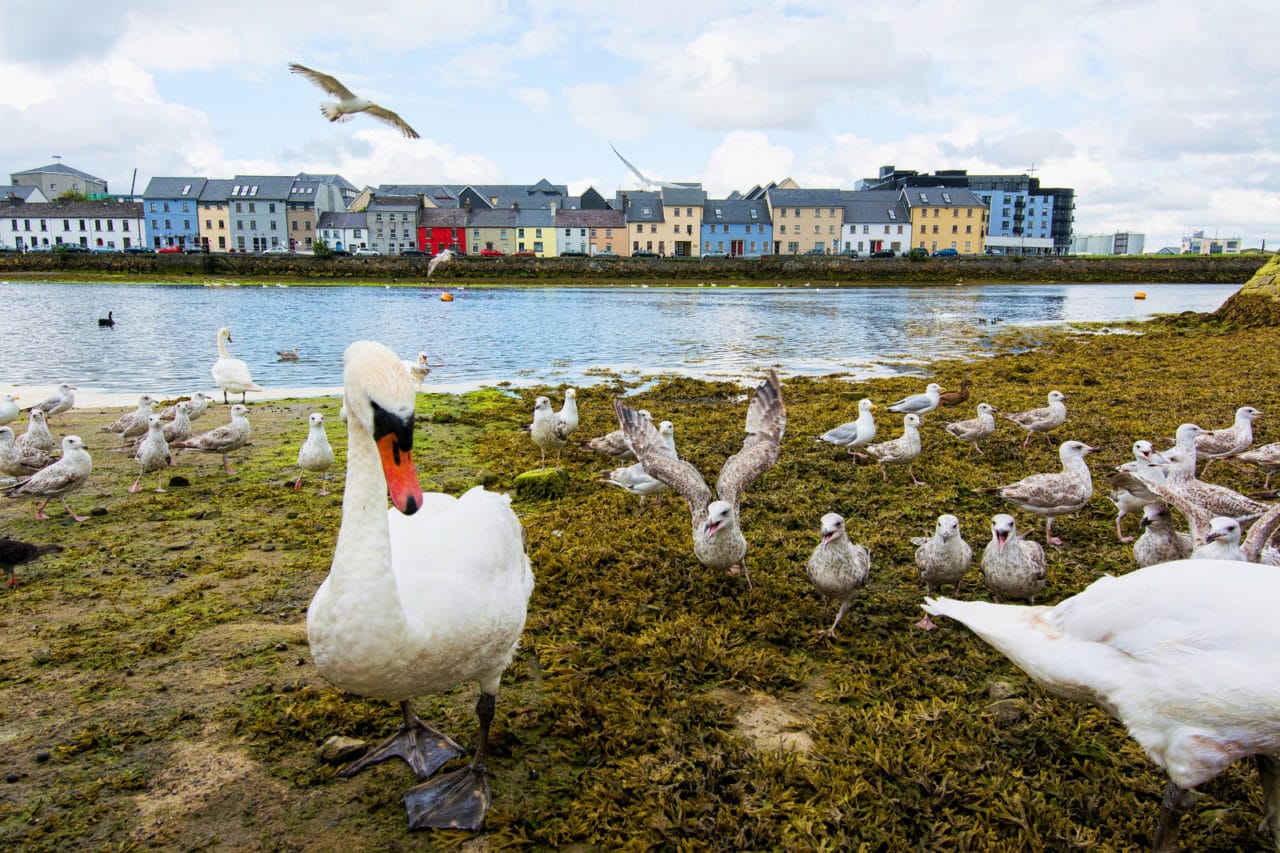 fahrrad leihen galway irland vor ort